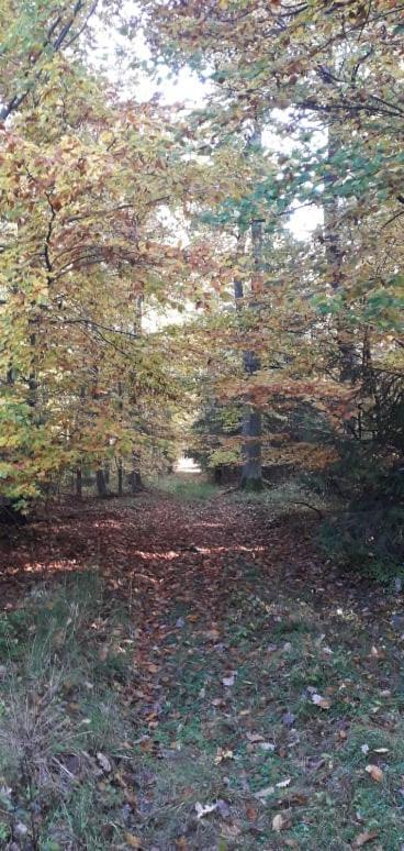 Penzion Slunovrat Běstvina Exterior foto
